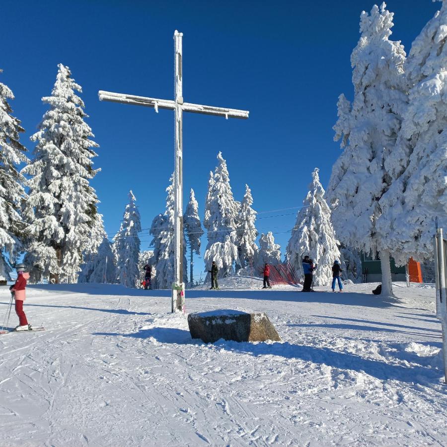 Apartman Mitterdorf Almberg 7 Mitterfirmiansreut Esterno foto